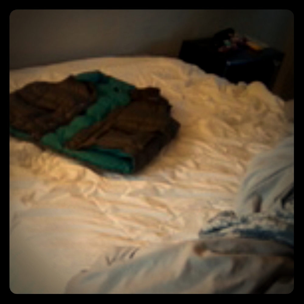 Patagonia vest